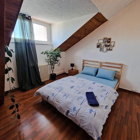 Nice Room 4 Minutes From Basel Shared Apartment Saint-Louis  Eksteriør bilde