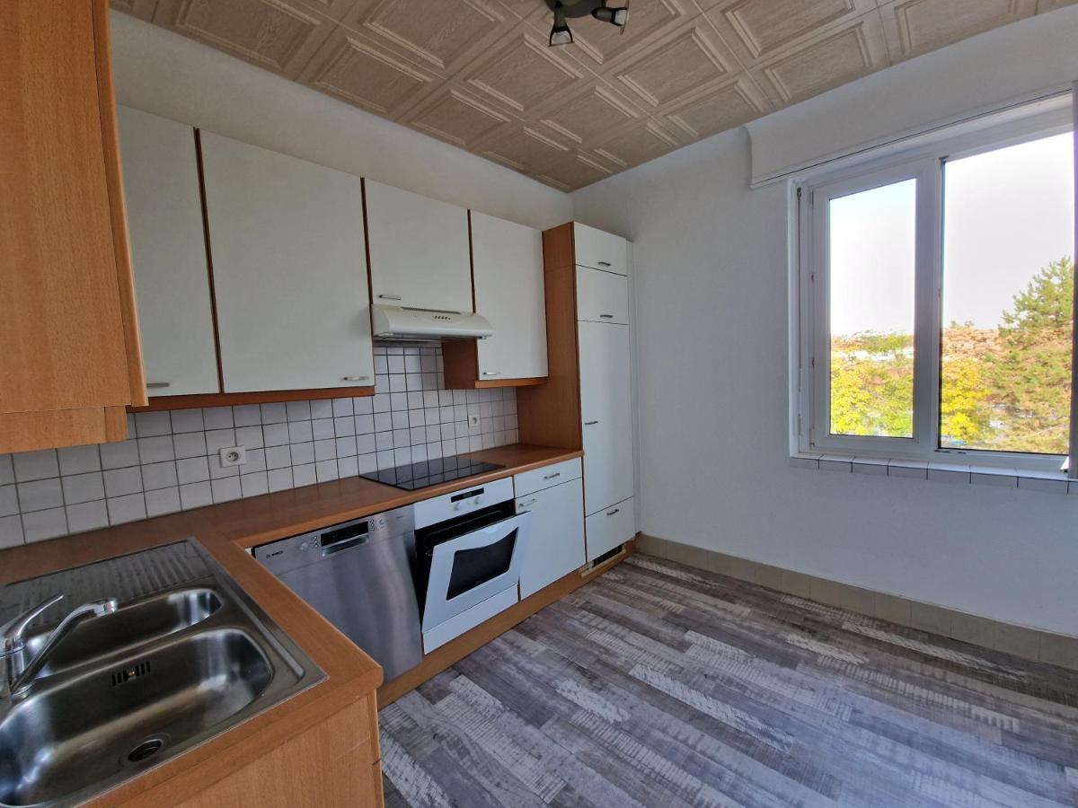 Nice Room 4 Minutes From Basel Shared Apartment Saint-Louis  Eksteriør bilde