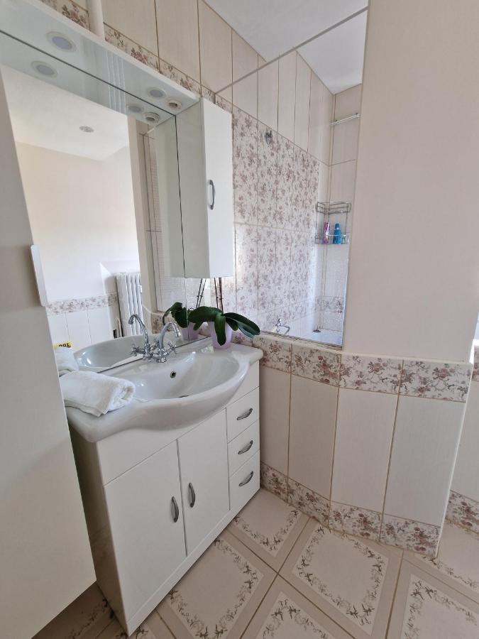 Nice Room 4 Minutes From Basel Shared Apartment Saint-Louis  Eksteriør bilde