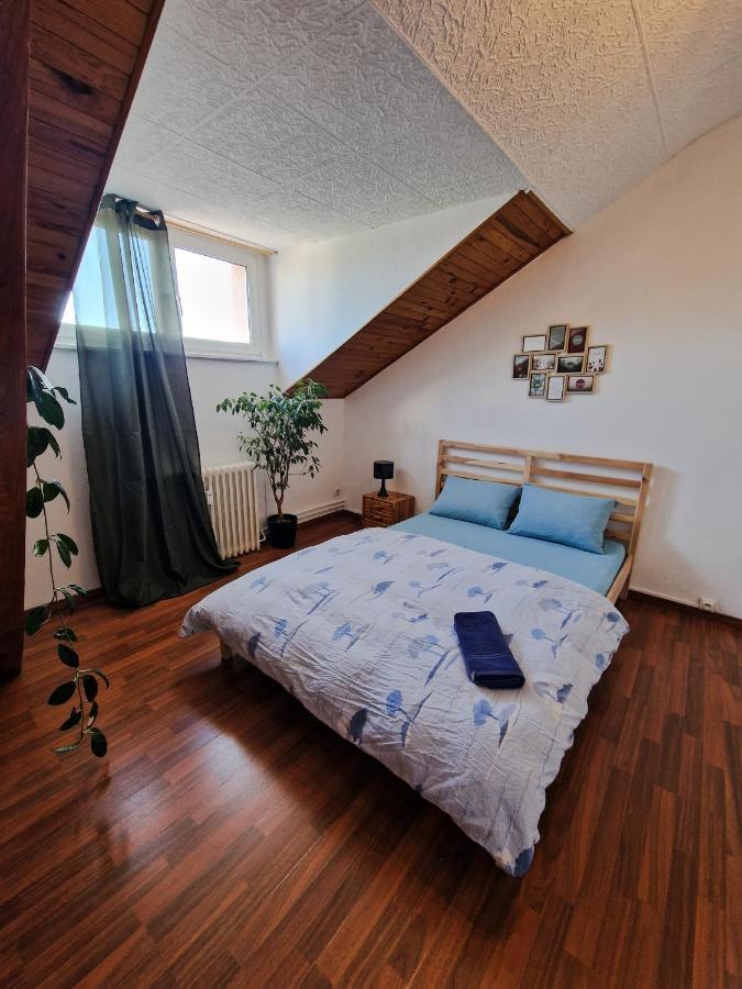 Nice Room 4 Minutes From Basel Shared Apartment Saint-Louis  Eksteriør bilde
