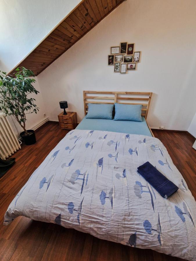 Nice Room 4 Minutes From Basel Shared Apartment Saint-Louis  Eksteriør bilde