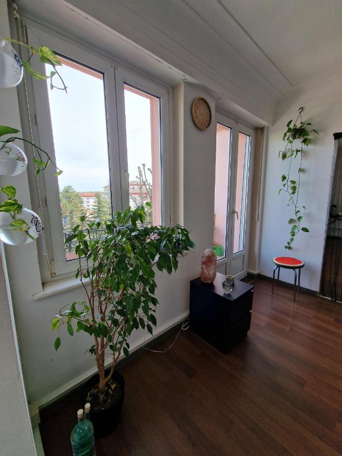 Nice Room 4 Minutes From Basel Shared Apartment Saint-Louis  Eksteriør bilde